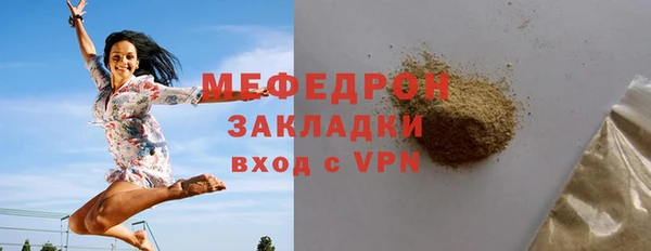 spice Богородицк